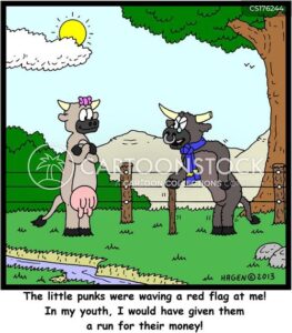 'The little punks were waving a red flag at me! In my youth, I would have given them a run for their money!'