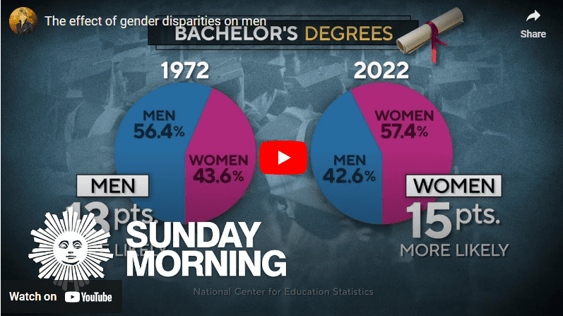 Gender Disparties Screensnot