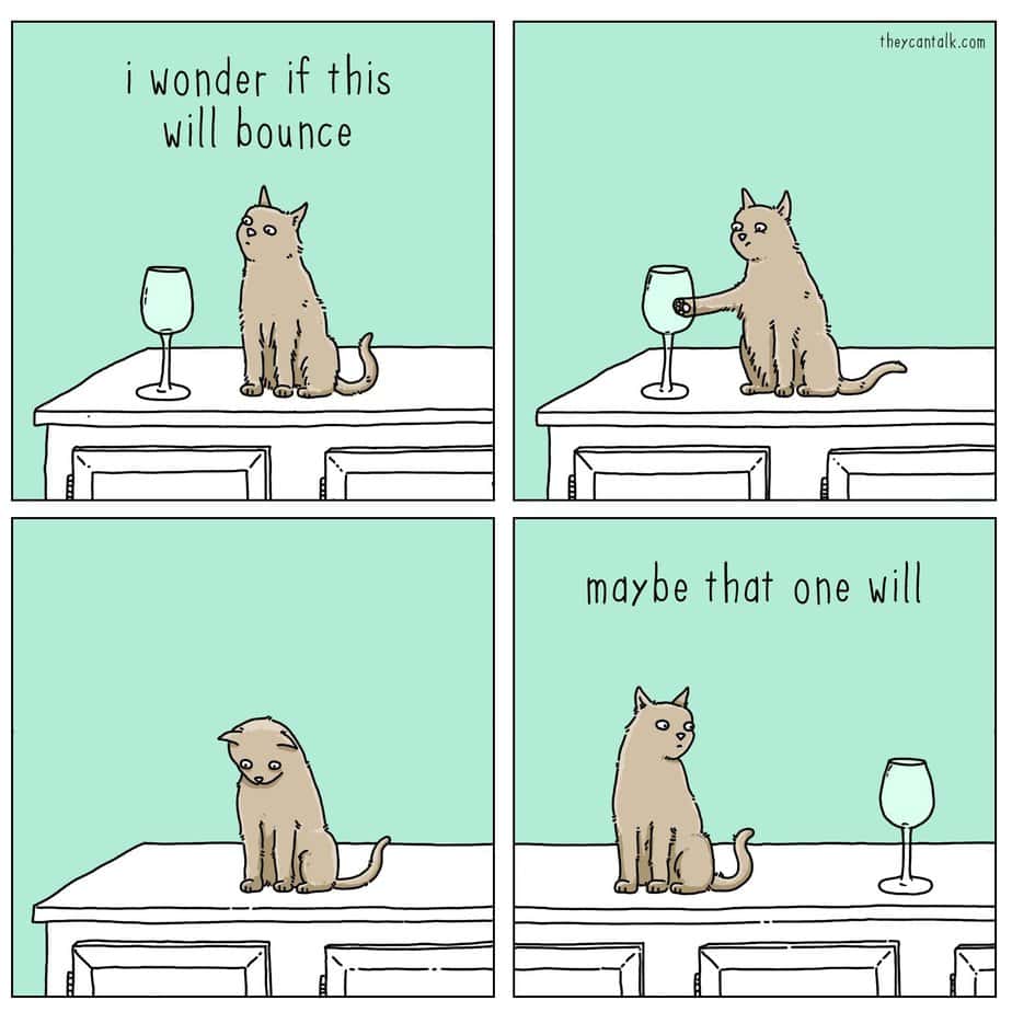 Cat Curiosity Comic