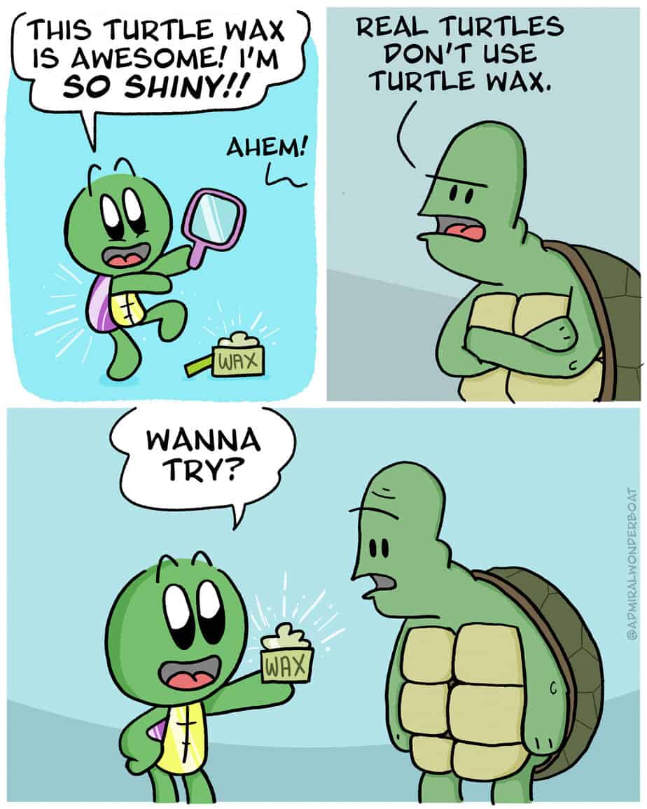 Self Improvement Turtle