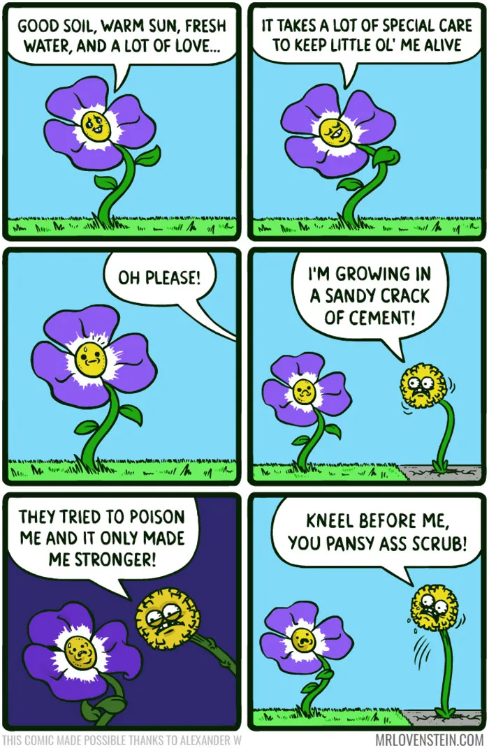 Tough Flowers