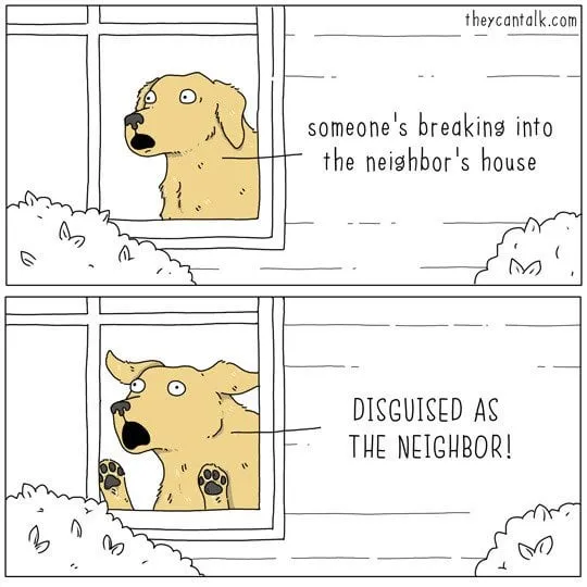 Neighborhood Security