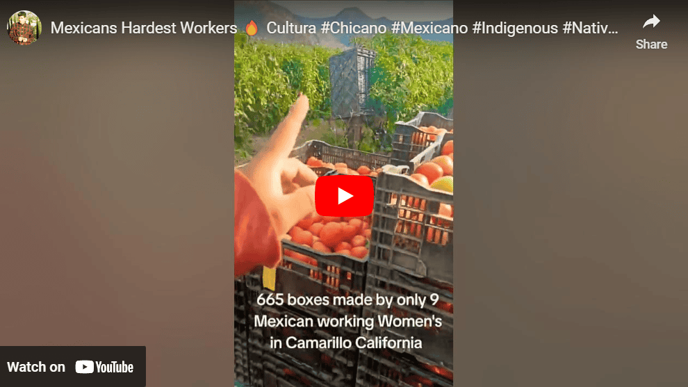 Mexicians Hardest Workers