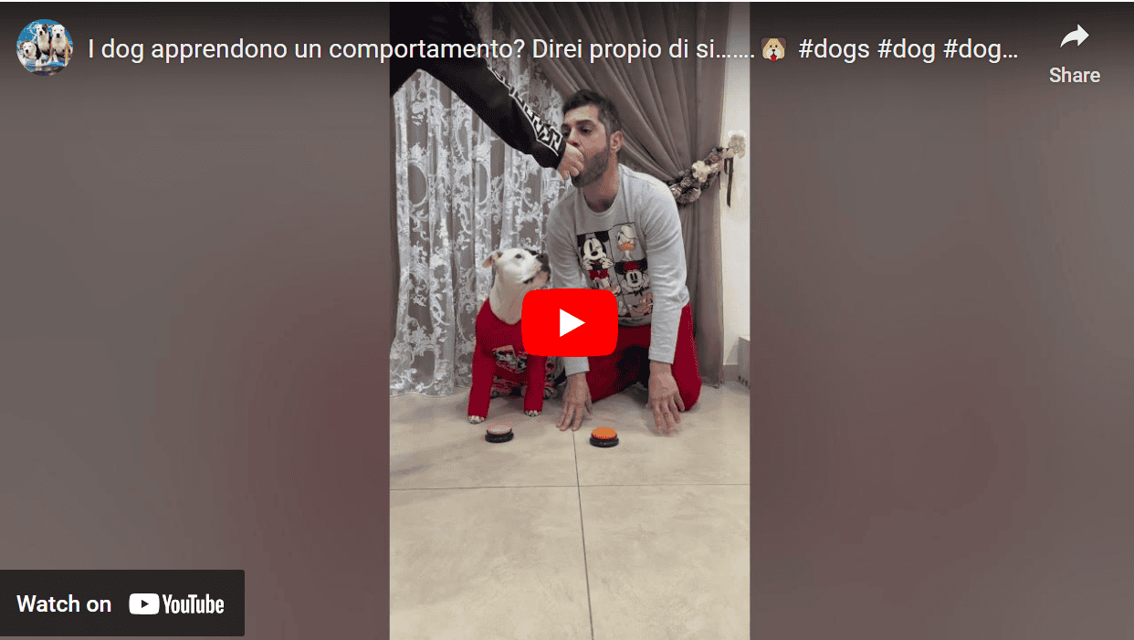 Rewarded Then Repeated