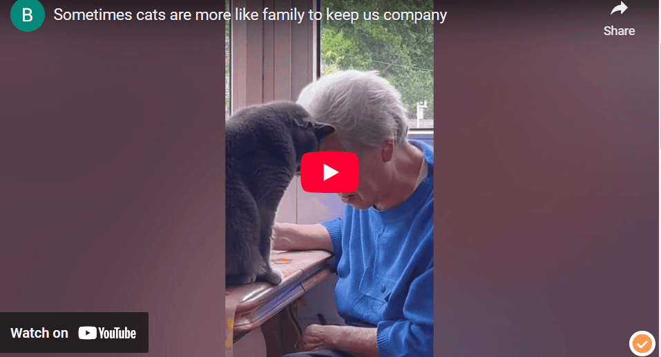 Animal Care