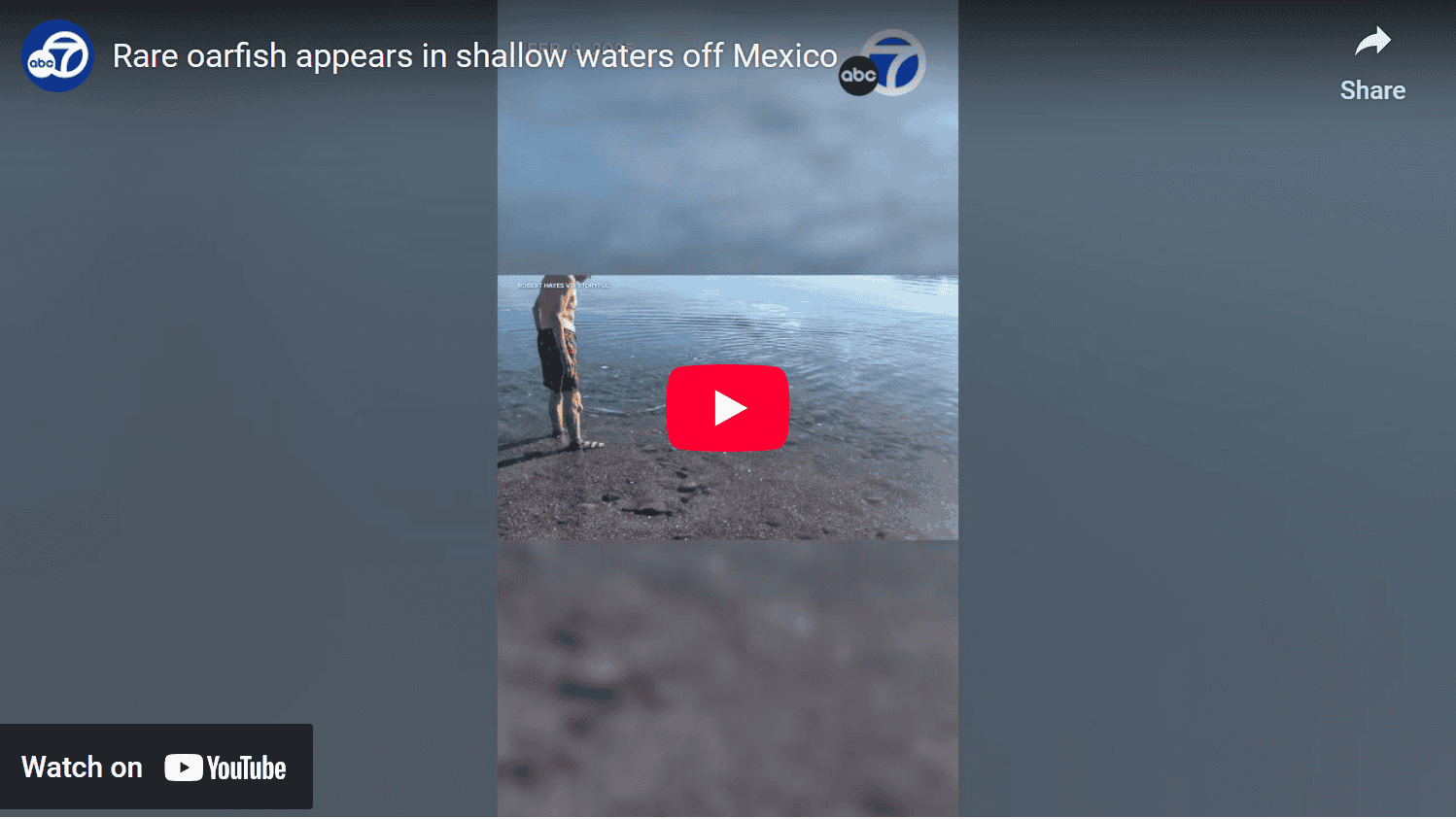 Oarfish
