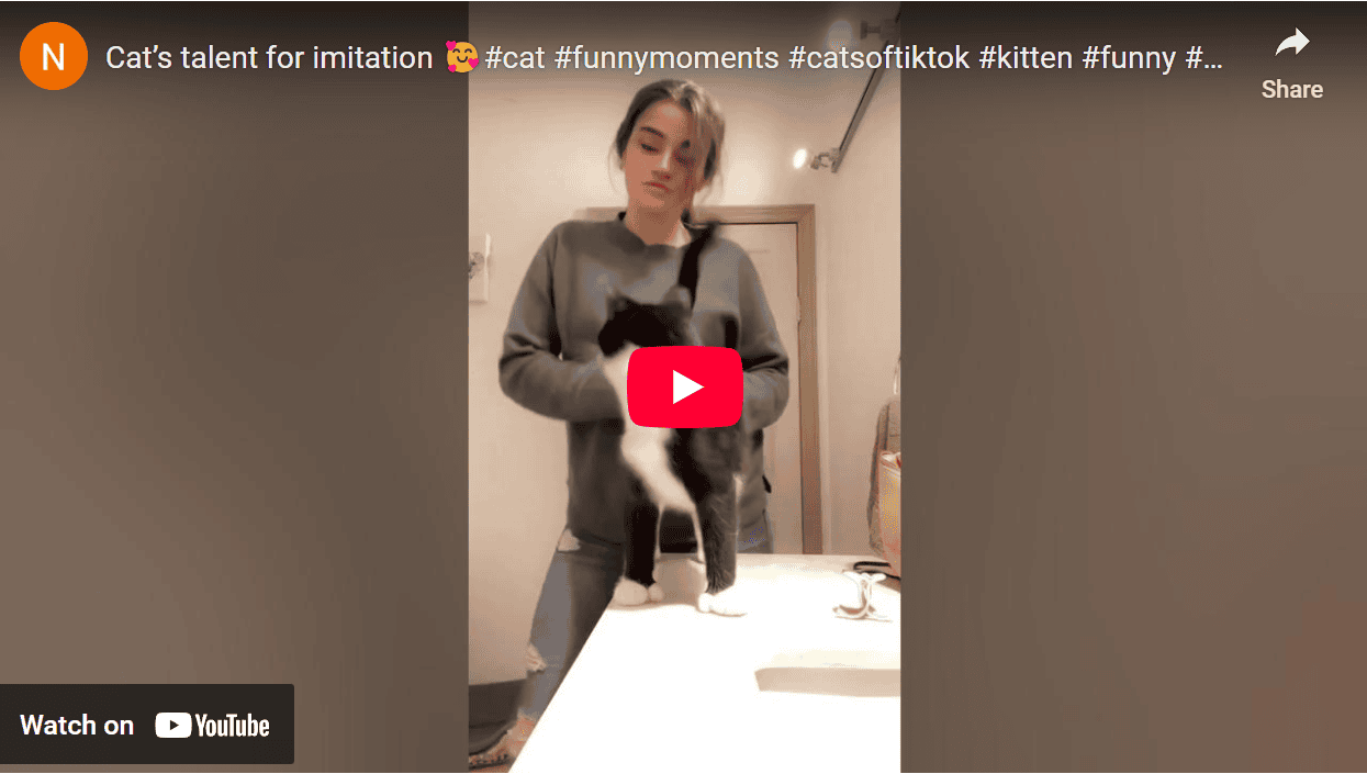 Cat Talent