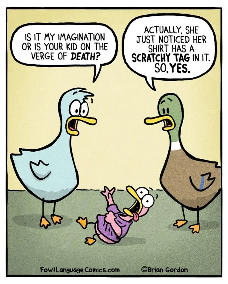 Funny ducks