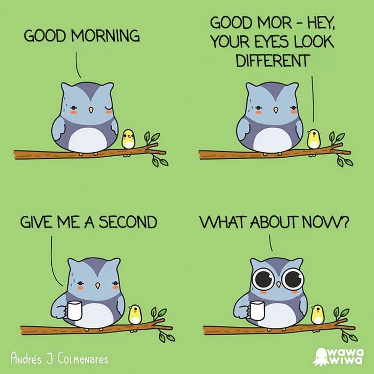 Owl