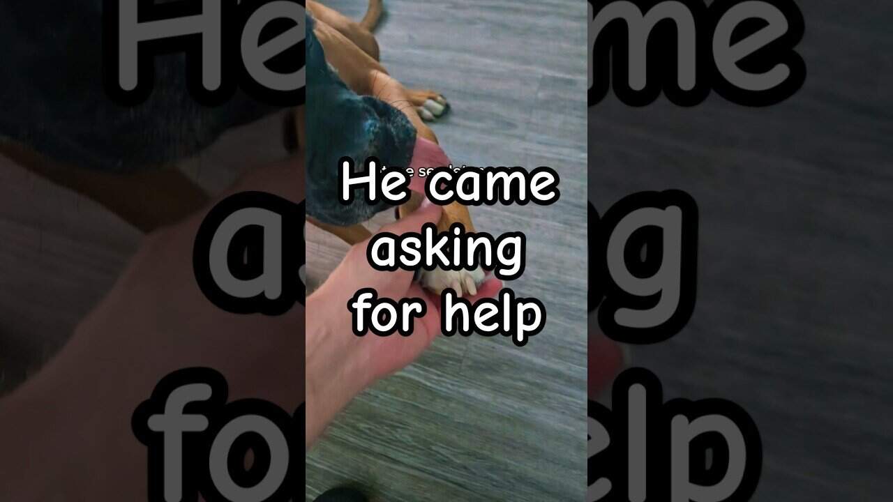 Do we look to help others with the pain they live with?