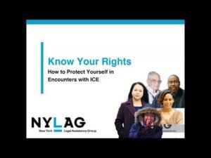 Know your rights: how to protect yourself in encounters with ice
