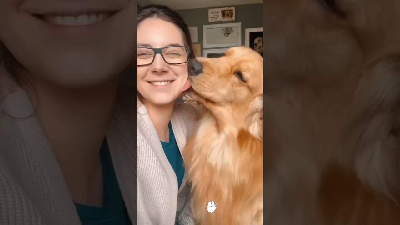 Puppy just want kiss 😘