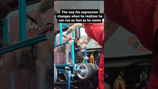 When you love what you do you’re happy