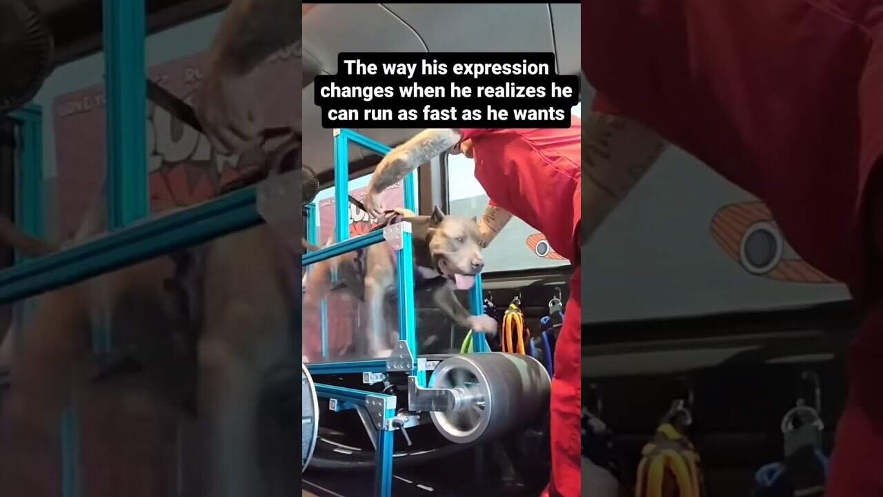 When you love what you do you’re happy