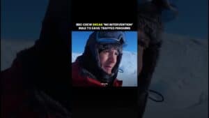 BBC Crew Break Rule To Save Penguins