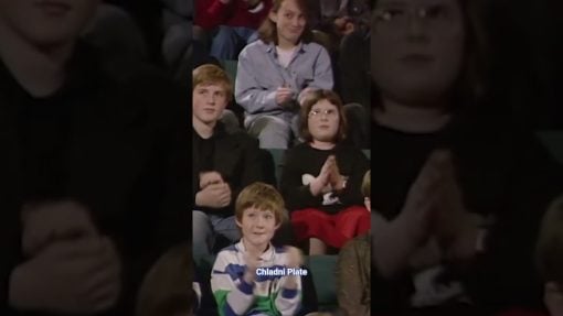 Chladni Plate visualisations (1989)