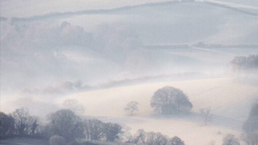 Sufjan Stevens // R. Vaughan Williams — Blended — Redford // The Lark Ascending