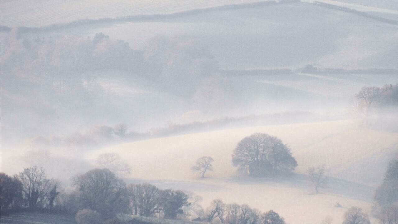 Sufjan Stevens // R. Vaughan Williams — Blended — Redford // The Lark Ascending