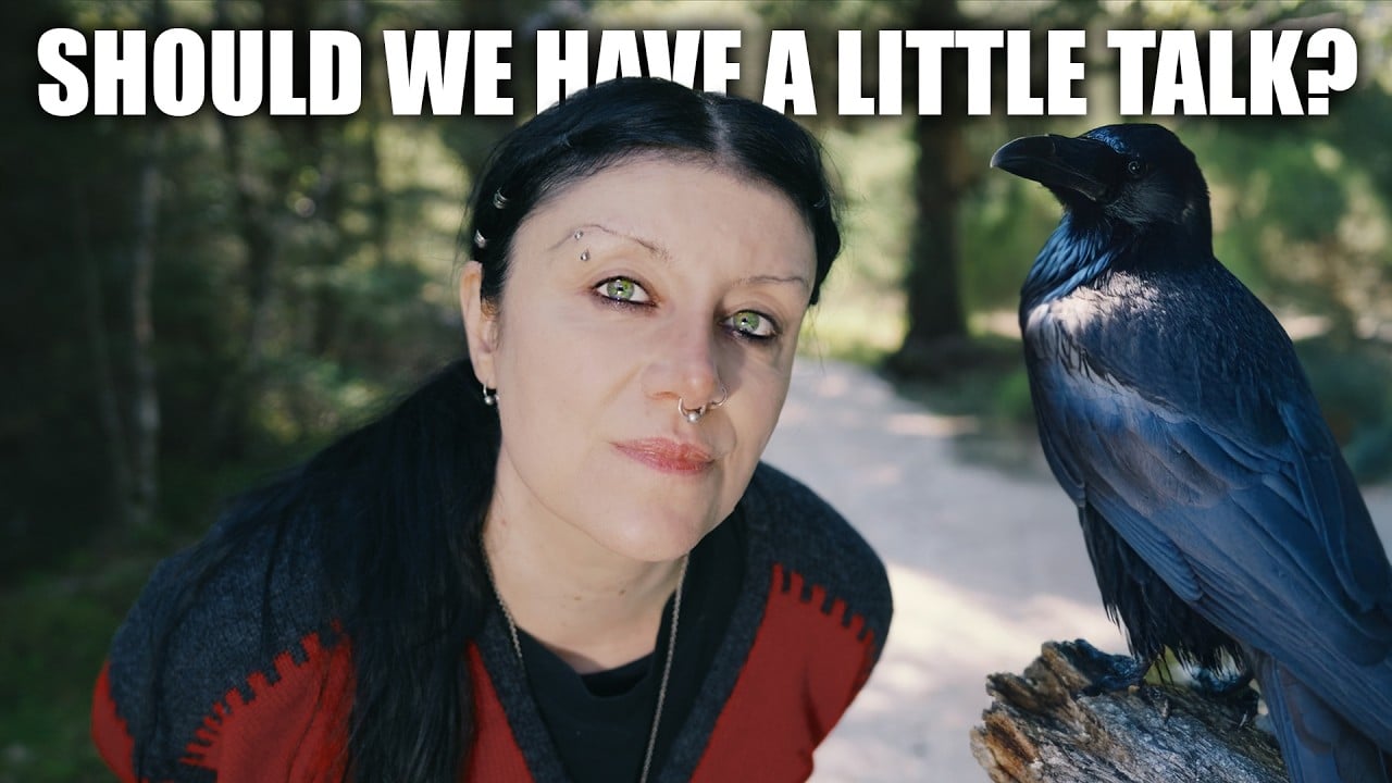 Why Do Highly Sensitive People Feel ATTACKED By Normal Life? | Lapland
