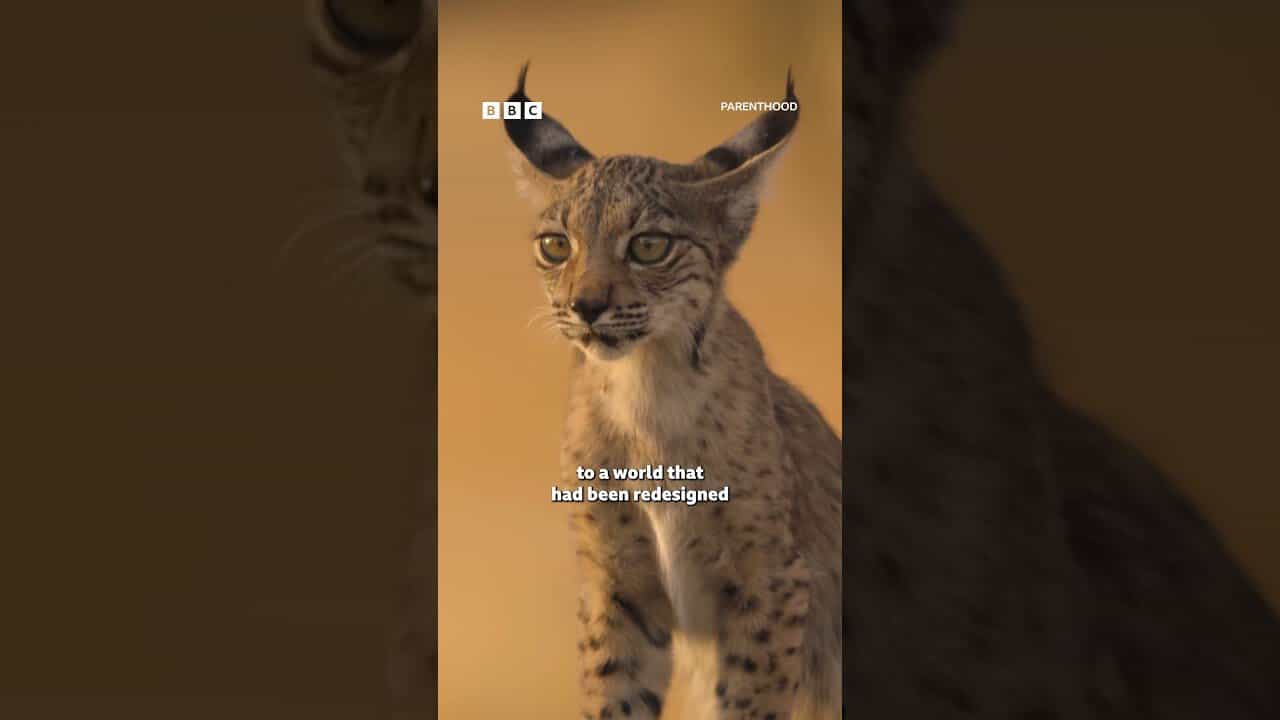 For all of us to survive we must help each other