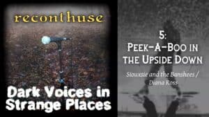Siouxsie & the Banshees and Diana Ross mashup – “Peek A Boo in the Upside Down”