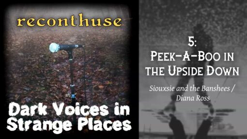 Siouxsie & the Banshees and Diana Ross mashup – “Peek A Boo in the Upside Down”