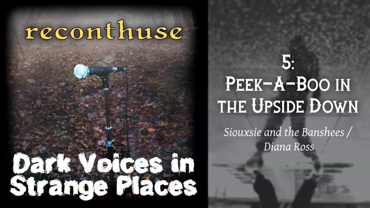 Siouxsie & the Banshees and Diana Ross mashup – “Peek A Boo in the Upside Down”