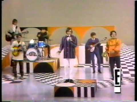 The Turtles – Happy Together –