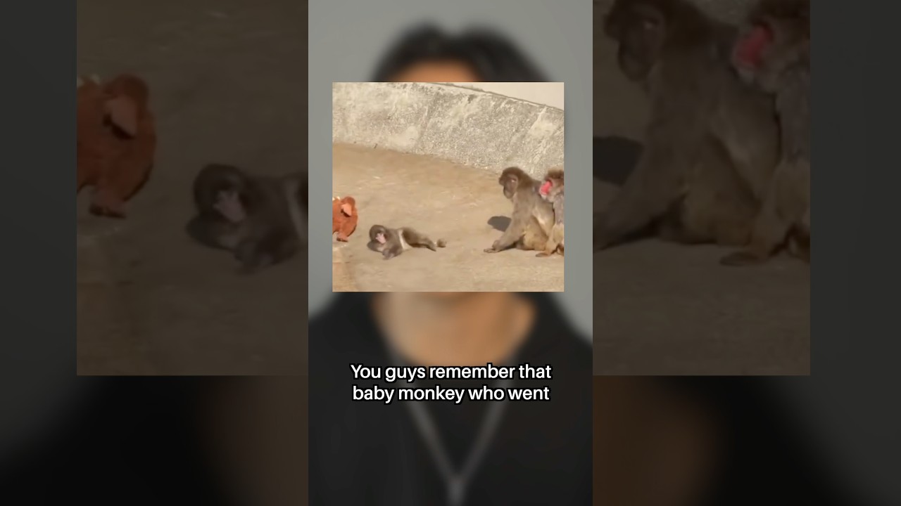 Breaking the cycle of abuse